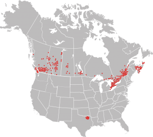 Regional Contacts North America Map
